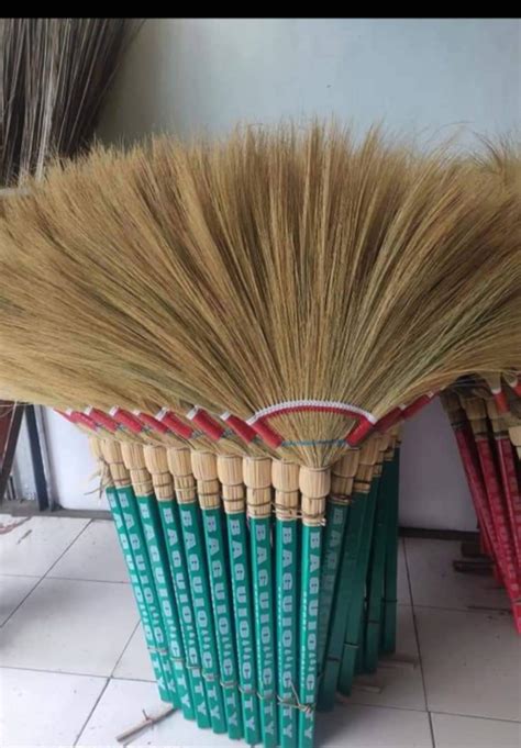 Walis Tambo Baguio Lazada PH