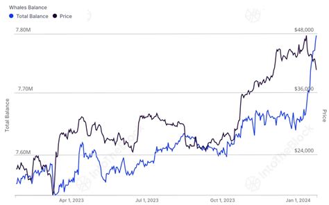 Bitcoin Whales Accumulate 3000000000 In Btc In Less Than A Month According To Intotheblock