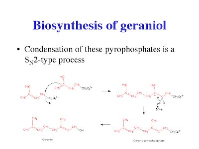 KIMIA BAHAN ALAM: GERANIOL