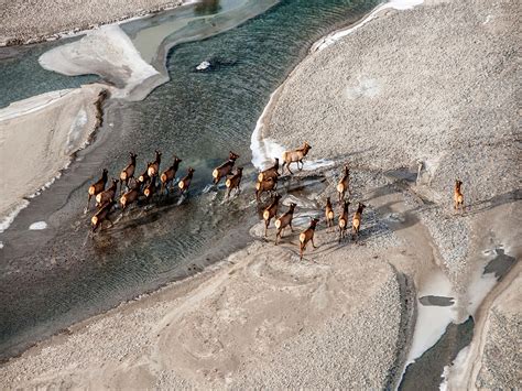 Athabasca River, Alberta |Canadian Heritage Rivers System