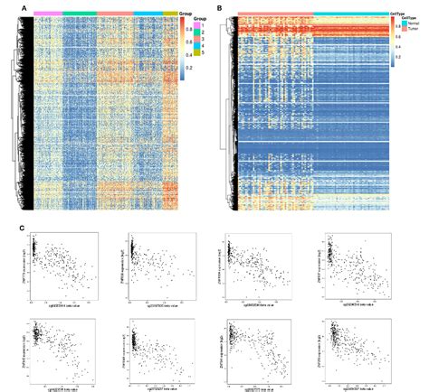 Figure 1 From Construction Of A Comprehensive Multiomics Map Of