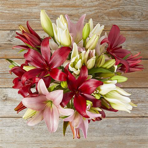 Cheap Flower Delivery: Affordable Flowers Under $50 - The Bouqs Co.