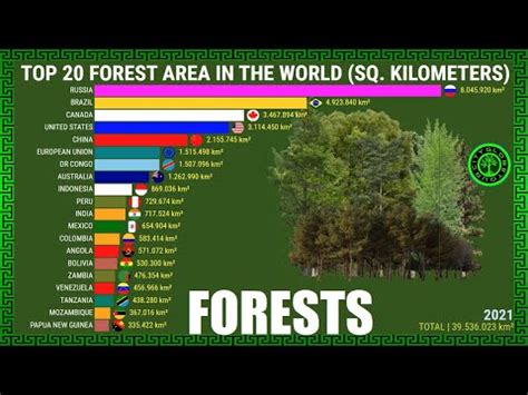 Top 20 Países as Maiores Florestas do Mundo km² Geografia Total