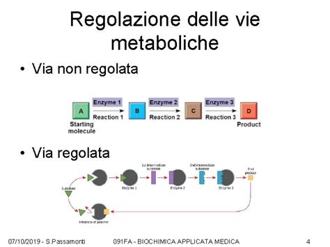 Lezione 1 Regolazione Enzimatica Mediante Meccanismi Diretti 1