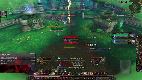 V Bm Hunter Disc Priest Vs Mw Monk Enhance Shaman Hunter Pvp