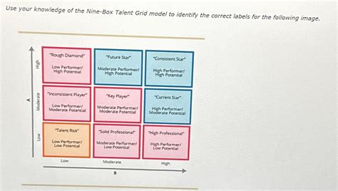 Solved Use Your Knowledge Of The Nine Box Talent Grid Model Chegg