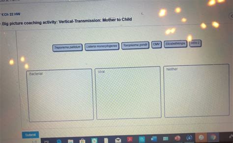 Solved Ch 22 HW Big Picture Coaching Activity Chegg