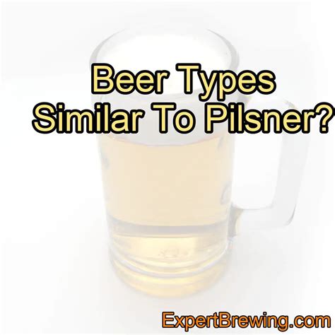 Beer Types Similar To Pilsner Exploring The World Of Crisp And