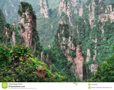 C Rsico Da Coluna Da Montanha De Tianzi Na Rea C Nico De Wulingyuan