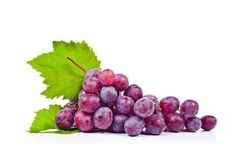 Grape Stock Photos Pictures And Royalty Free Images Istock