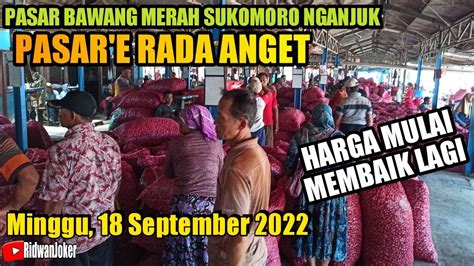 HARGA BAWANG MERAH HARI INI Minggu 18 September 2022 STABIL Pasar