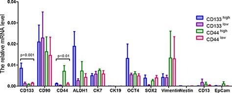 Prognostic Value Of The Expression Of Cancer Stem Cell Related Markers