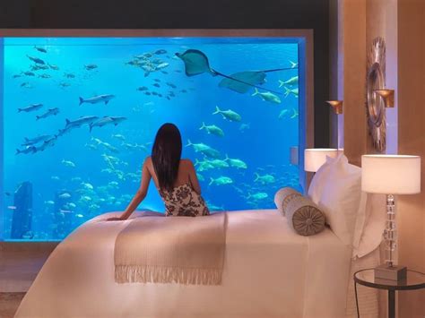 Sleep With The Fishes In These Luxury Underwater Hotels 🧭holiday Balladay