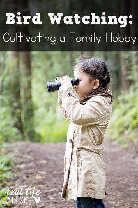 Bird Watching and Identification: How to Cultivate Bird Watching as a ...