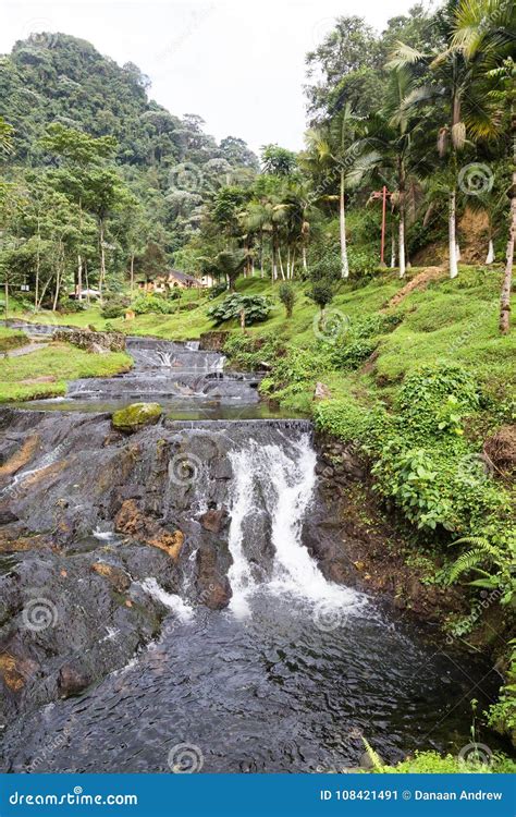 Santa Rosa hot springs stock image. Image of santa, forest - 108421491