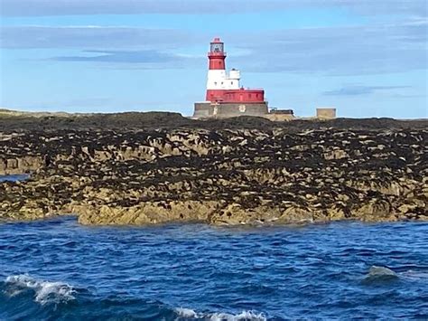 Serenity Farne Island Boat Tours (Seahouses) - 2020 All You Need to ...