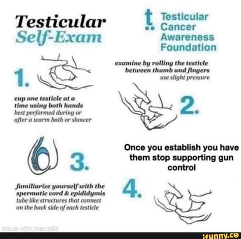 Testicul Testicular Beticuler Self Exam Awareness Foundation Examine By Rolling The Testicle