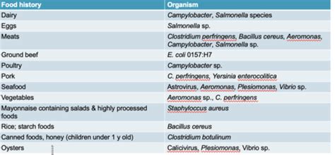 Gi Infections Flashcards Quizlet