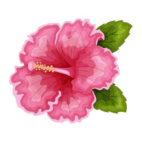 Hibiscus Flowers Vector Illustration 36581051 Vector Art At Vecteezy