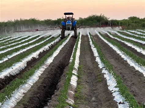 Se Preparan Para El Desaf O M Dulos Analizan Escasez De Agua Y Su