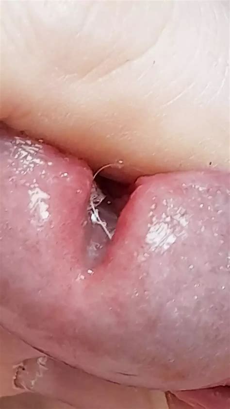 V Deos Gay De Porno Casero Xhamster