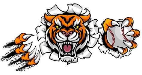 140 Tigers Baseball Stock Illustrations Royalty Free Vector Graphics