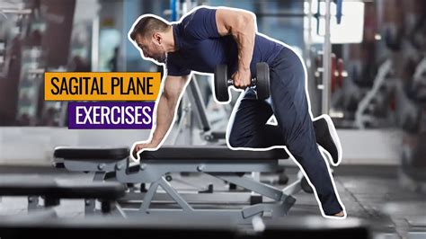 8 Sagittal Plane Exercises For An Improved Physique