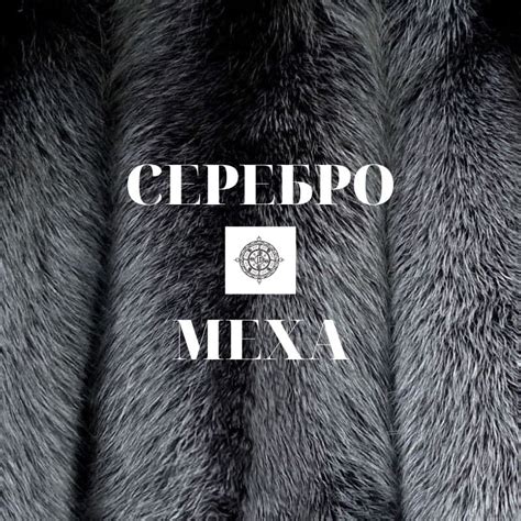 СЕРЕБРО&МЕХА • Канал Telegram