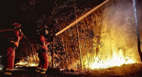 Gran Canaria En Prealerta Por Riesgo De Incendios Forestales