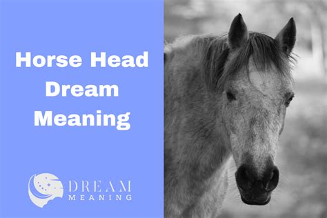 Exploring The Horse Head Dream Meaning What It Means And How To