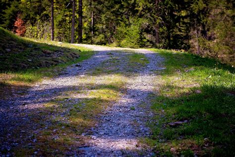 Sendero Deshecho Camino Forestal Foto Gratis En Pixabay Pixabay