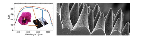 Kit Lti Forschung Next Generation Photovoltaics Perovskite