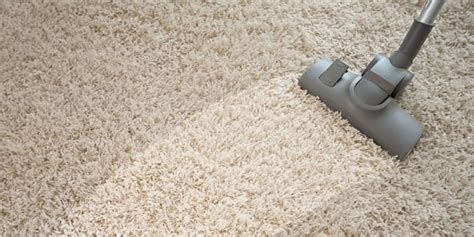 How To Choose The Best Carpet Cleaning Company Pro Carpet Cleaning