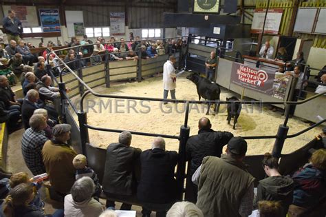 Melton Mowbray Rare Breeds Sept Farmersguardian