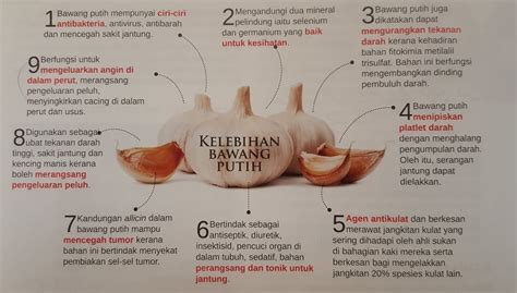 Khasiat Bawang Putih Tumbuhan Herba