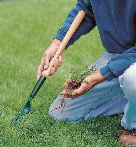 Lee Valley Dandelion Diggers Lee Valley Tools