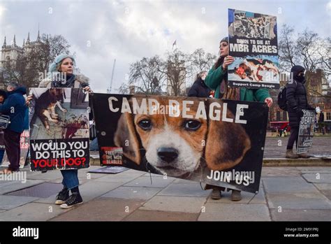 Londra Inghilterra Regno Unito Th Jan I Manifestanti Hanno