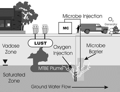 define bioaugmentation - Science - Microorganisms Friend and Foe ...