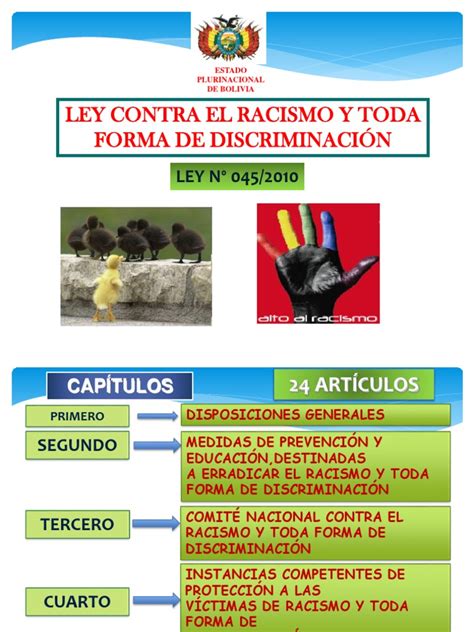 Ley 045 Racismo Y Toda Forma De Discriminacion Pdf