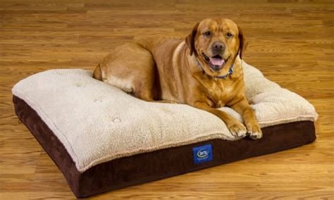 Serta Orthopedic Dog Bed | Groupon Goods