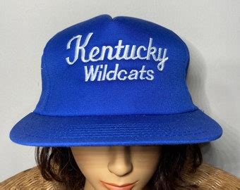 Wildcats Vintage Hat - Etsy