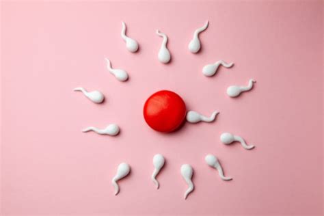 Curious About Fertility Busting All The Common Fertility Misconceptions