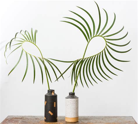 Unusual Plants and Sculptural Ceramics by Ben Medansky
