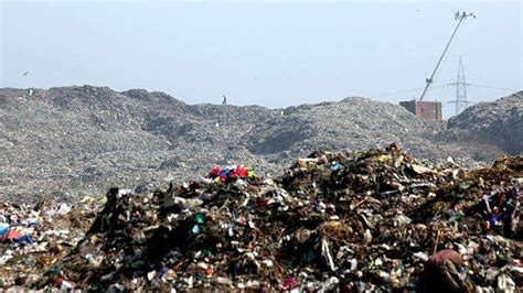 Bmc Finds Of Mumbais Garbage Is Food Waste Two Years In A Row