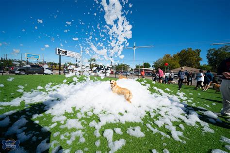 Energy Corridor | Houston Bark Park