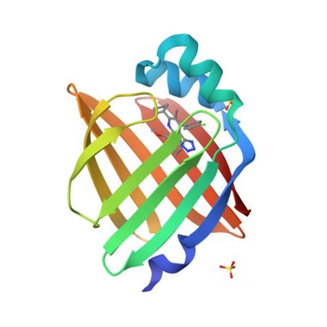 RCSB PDB 7FW1 Crystal Structure Of Human FABP4 In Complex With 2