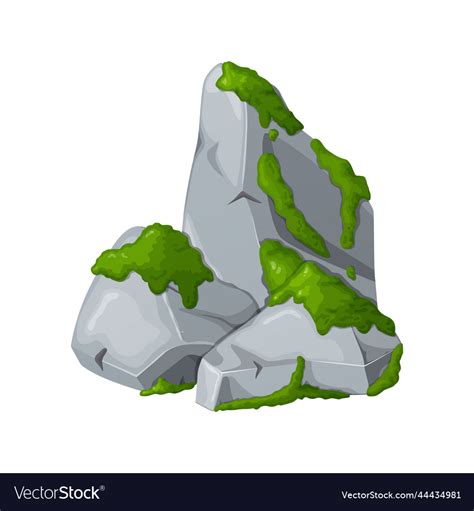 Moss on stones rocks and green lichen Royalty Free Vector