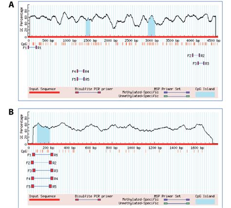 Visualization of CpG islands predictions results. A. Primers and ...