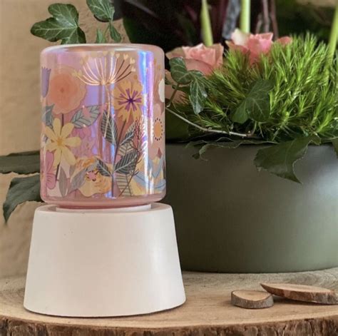 Scentsy Sample Ideas Scentsy Catalog Candle Burner Colored Light