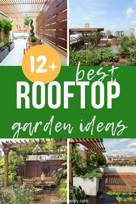 12+ Best Rooftop Garden Ideas & Designs For 2022